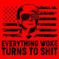 Funny Trump Everything Woke Turns To Shit Distressed USA American Flag Santa Hat thumb 1