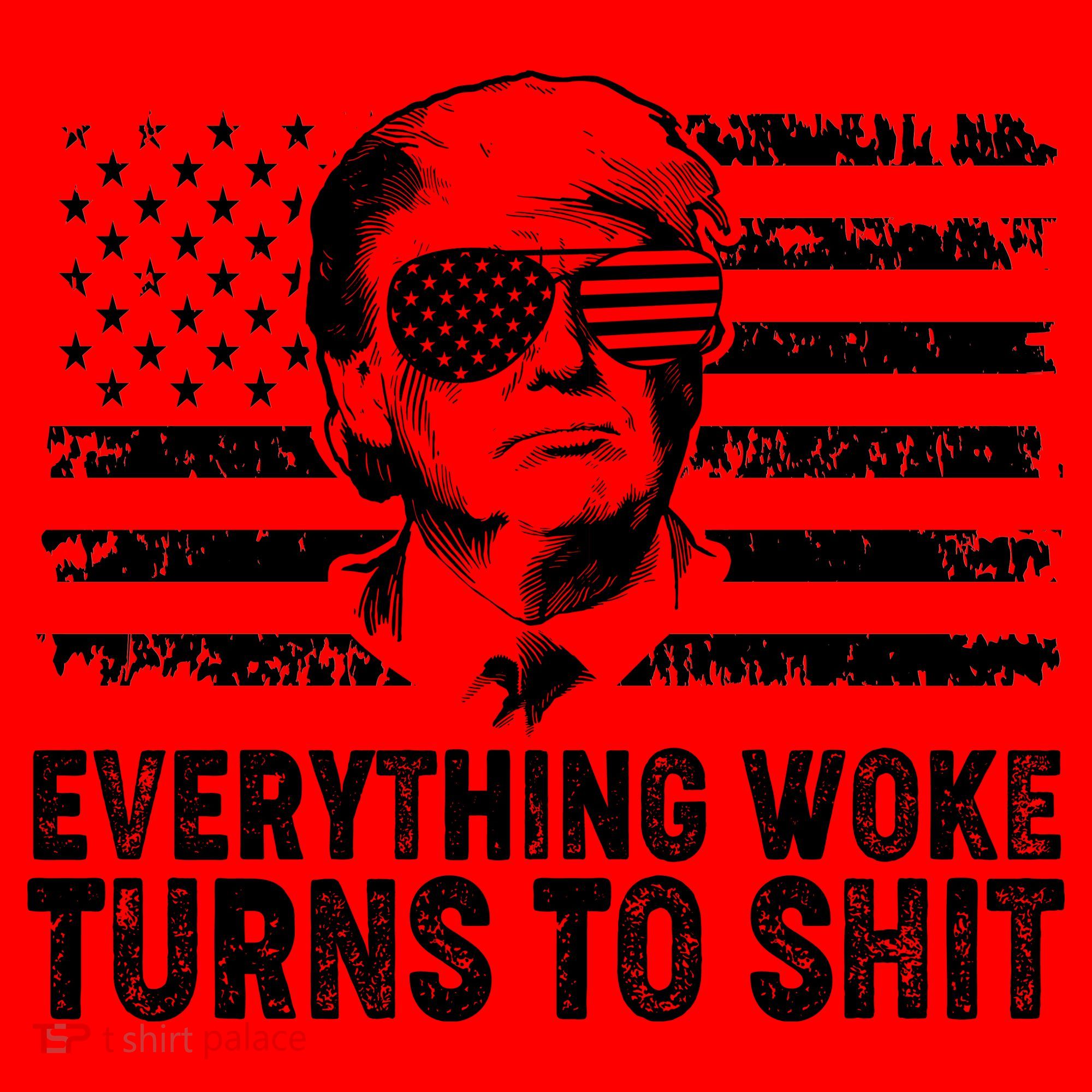 Funny Trump Everything Woke Turns To Shit Distressed USA American Flag Santa Hat