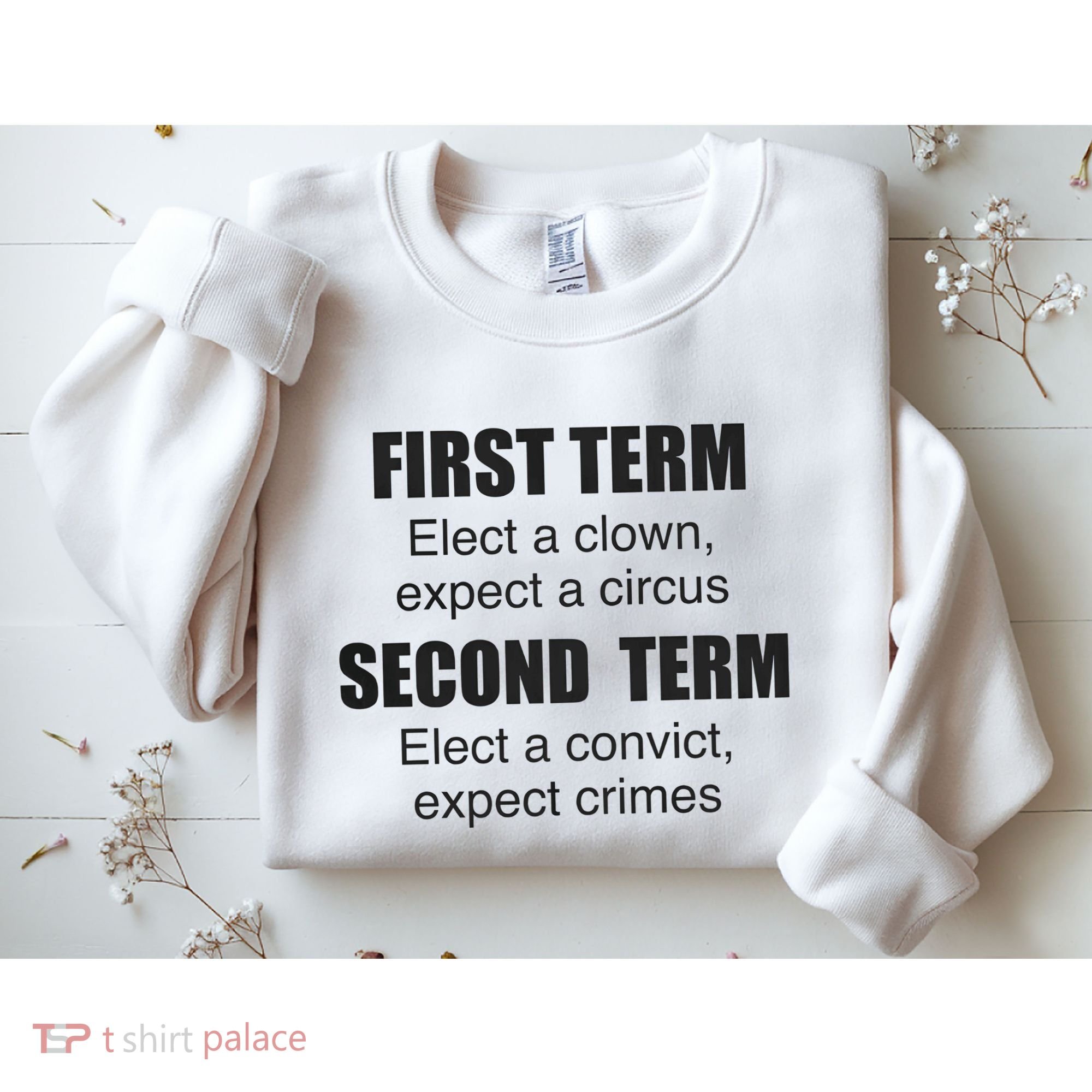 First Term Elect A Clown Expect A Circus Second Term Elect A Convict Expect Cri Sweatshirt