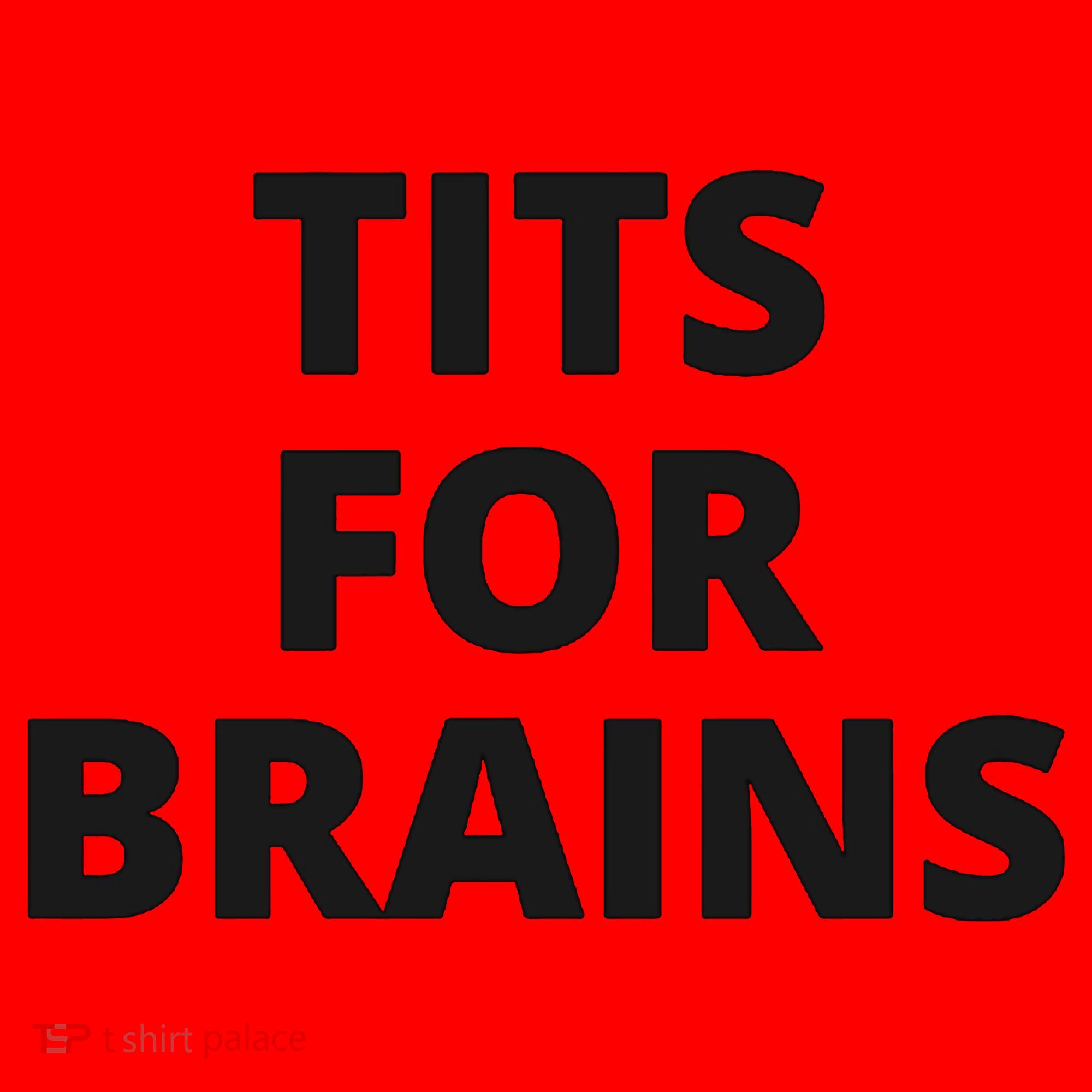 Funny Tits For Brains Sarcasm Saying Feminist Santa Hat
