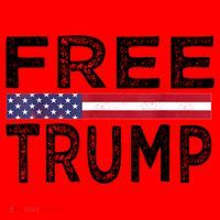 Free Trump, Free Donald Trump 2024 Santa Hat thumb 1