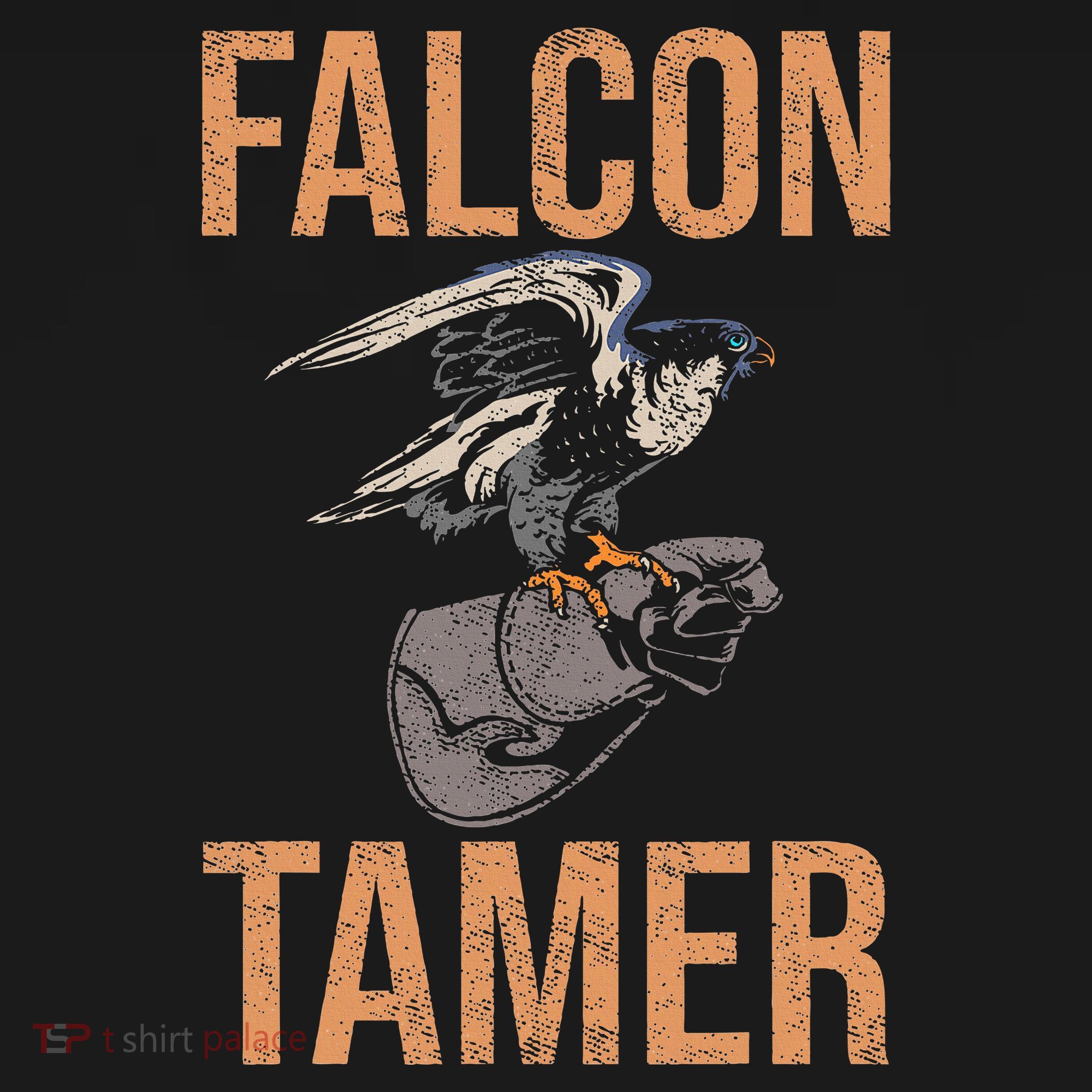 Falcon Tamer Falconry Trainer Hawker Ornithology Falconry Women's Hoodie