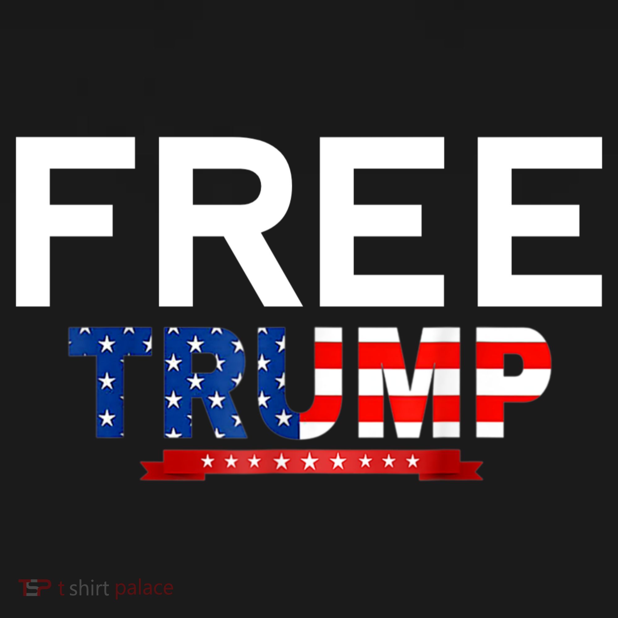 Free Trump, Free Donald Trump 2024 Hoodie