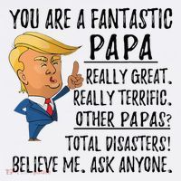 Funny Trump Fathers Day Grandpa Gift You Are Fantastic Papa T-Shirt thumb 7