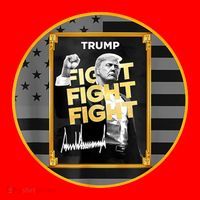Funny Trump Fight Meme Coin Crypto President Santa Hat thumb 1
