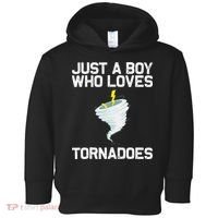 Funny Tornado Gift For Kids Hurricane Weather Chaser Toddler Hoodie thumb 0