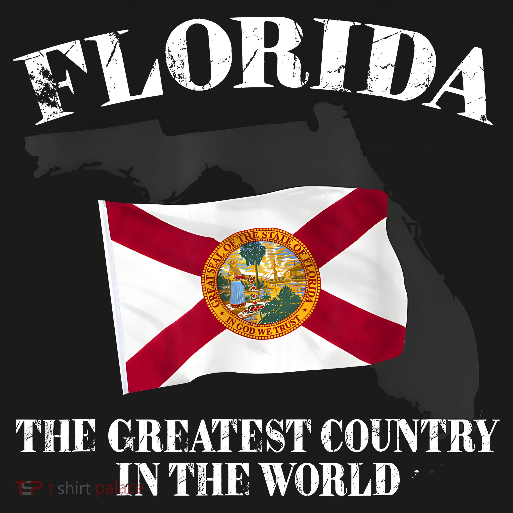 Florida The Greatest Country In The World Women's Hoodie