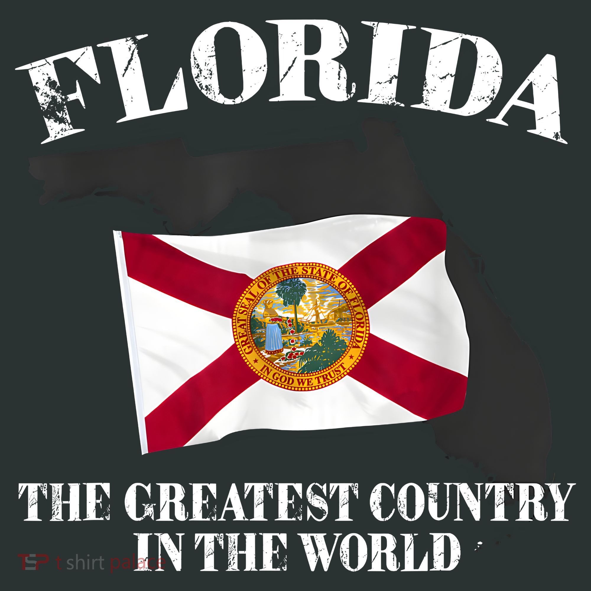 Florida The Greatest Country In The World Women's T-Shirt