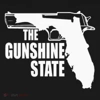Florida The Gunshine State Toddler Hoodie thumb 2