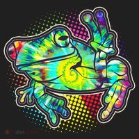 Funny Trippy Hippie Psychedelic Peace Frog Women's Sweatshirt thumb 2
