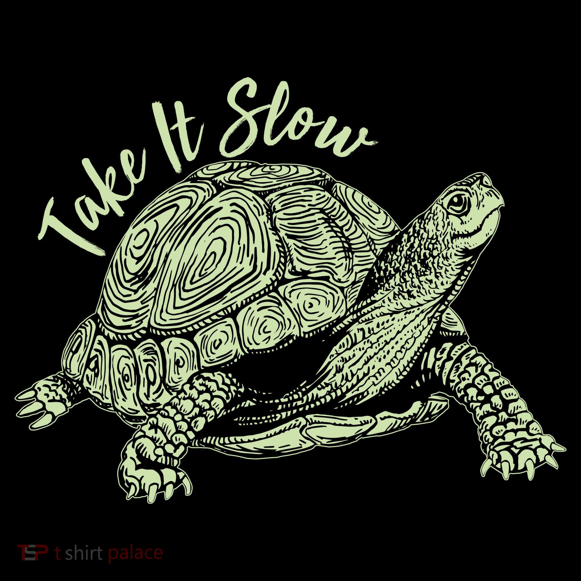 Funny Take It Slow Turtle Tortoise Women's Long Sleeve Shirt