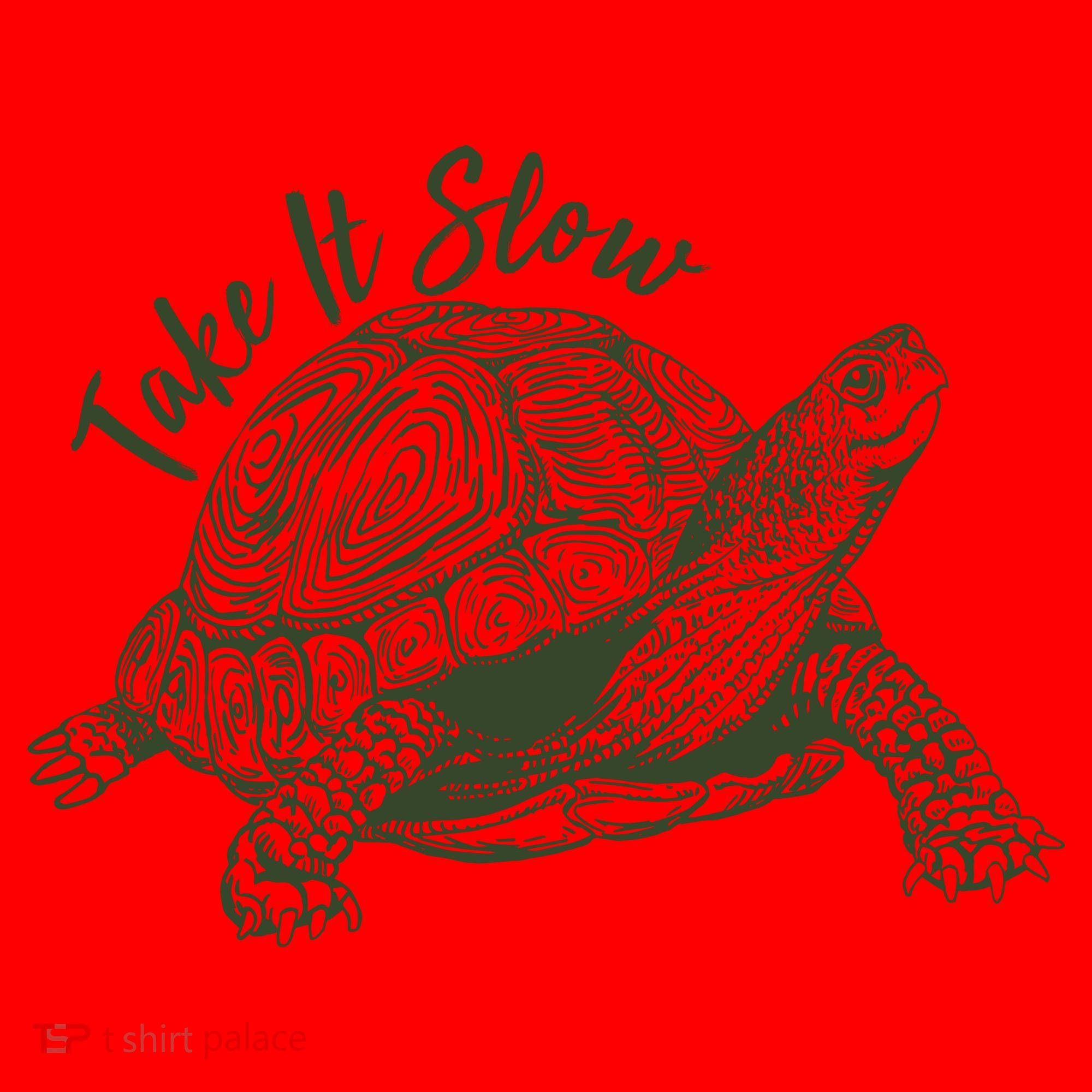 Funny Take It Slow Turtle Tortoise Santa Hat