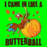 Funny Thanksgiving I Came In Like A Butterball Turkey Swinging On Pumpkin Coaster thumb 2