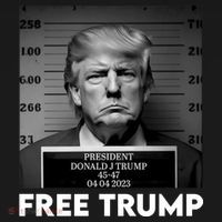 Free Trump Mug Shot Trump Not Guilty MugShot Kids Long Sleeve Shirt thumb 2