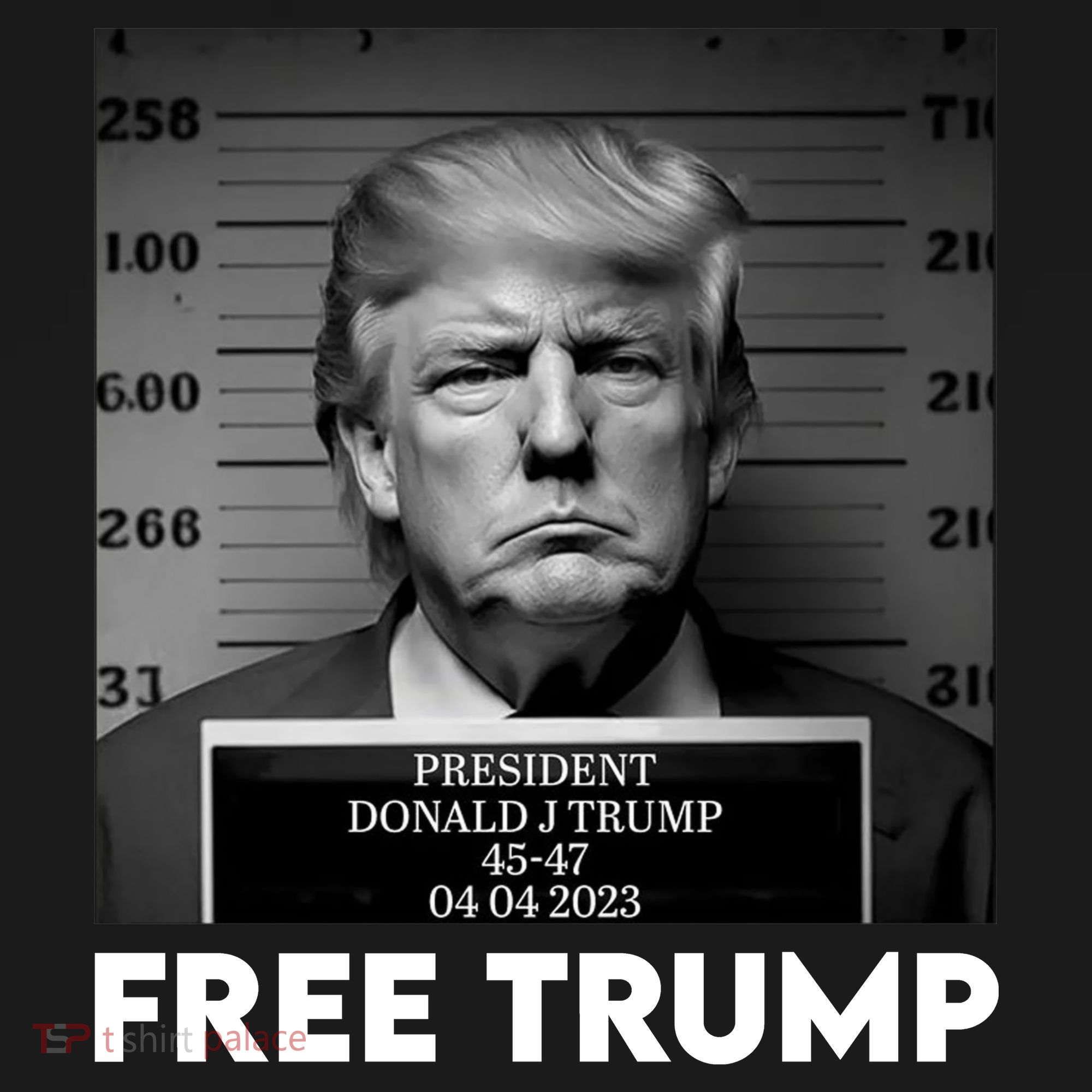 Free Trump Mug Shot Trump Not Guilty MugShot Kids T-Shirt