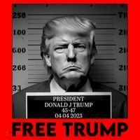 Free Trump Mug Shot Trump Not Guilty MugShot Santa Hat thumb 1