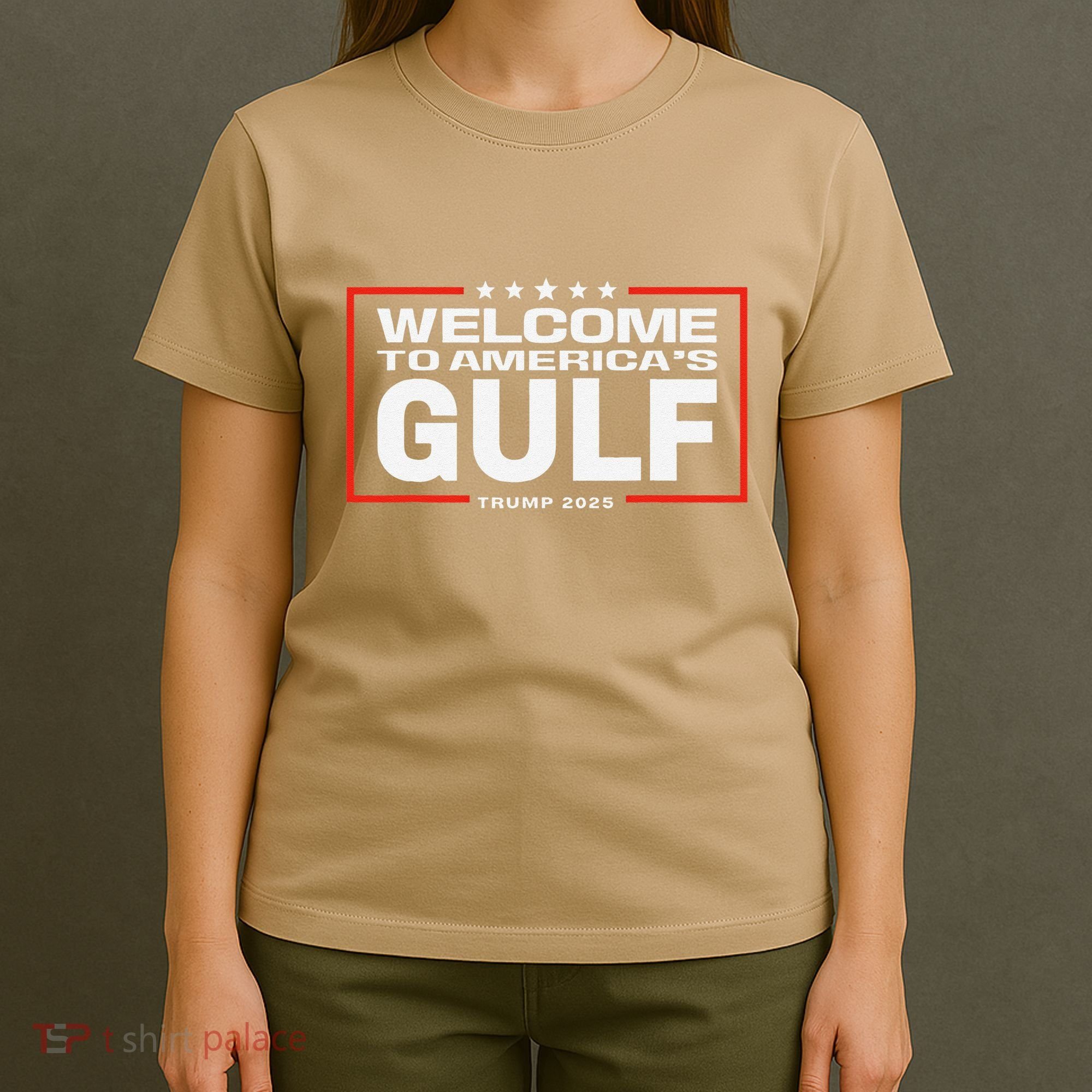 Funny Trump Mexico America Retro Welcome To AmericaS Gulf T-Shirt