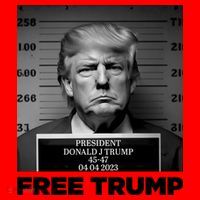 Free Trump Mug Shot Trump Not Guilty MugShot Santa Hat thumb 1