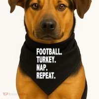 Football Turkey Nap Repeat USA-Made Doggie Bandana thumb 1