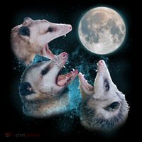 Funny Three Opossum Moon Doggie Tank thumb 4