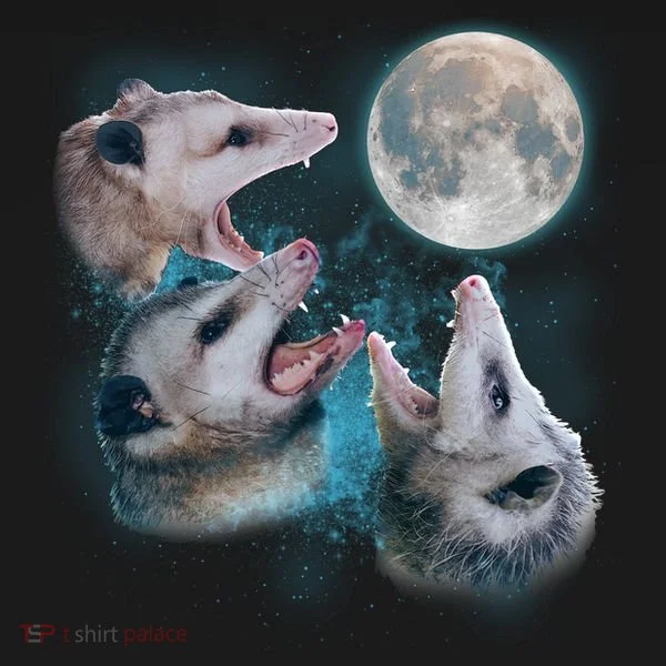 Funny Three Opossum Moon Doggie Tank