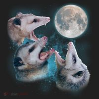Funny Three Opossum Moon Beanie thumb 2
