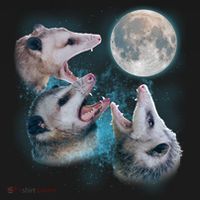 Funny Three Opossum Moon Polo thumb 3