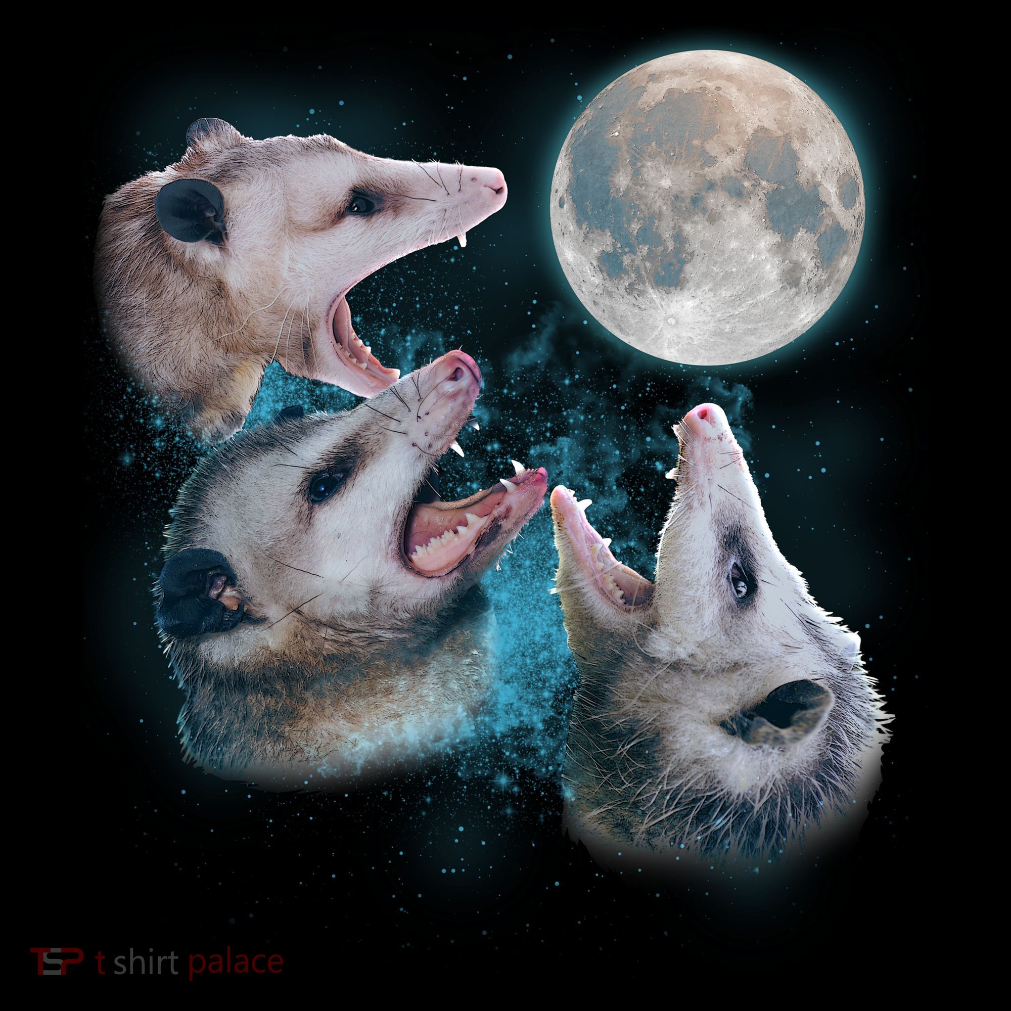 Funny Three Opossum Moon Women's Tank Top