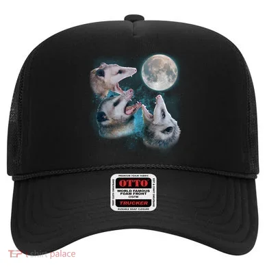 Funny Three Opossum Moon Hat