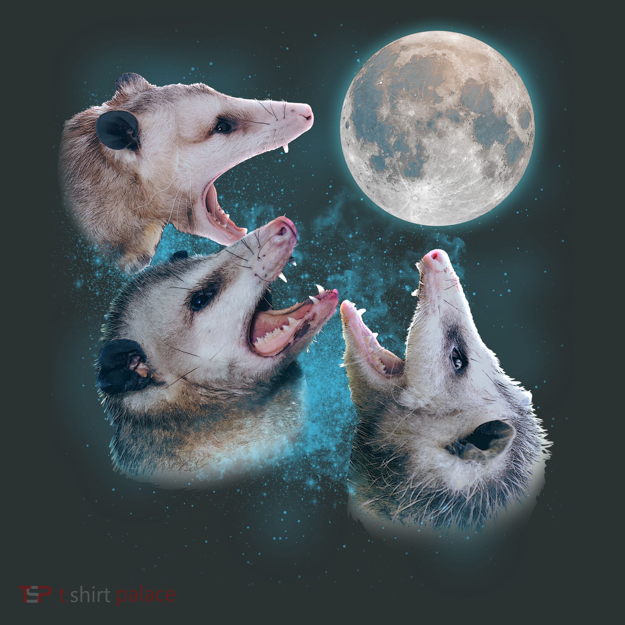 Funny Three Opossum Moon Button