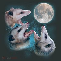 Funny Three Opossum Moon Coaster thumb 2