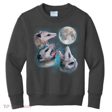 Funny Three Opossum Moon Kids Sweatshirt