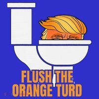 Flush The Orange Turd TrumpS Lawyer Called Him Kids Sweatshirt thumb 2