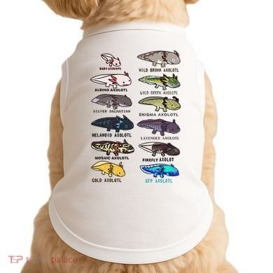 Funny Type Of Axolotls Funny Axolotl Lovers  Doggie Tank
