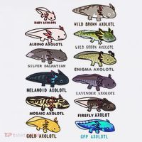 Funny Type Of Axolotls Funny Axolotl Lovers  T-Shirt thumb 7