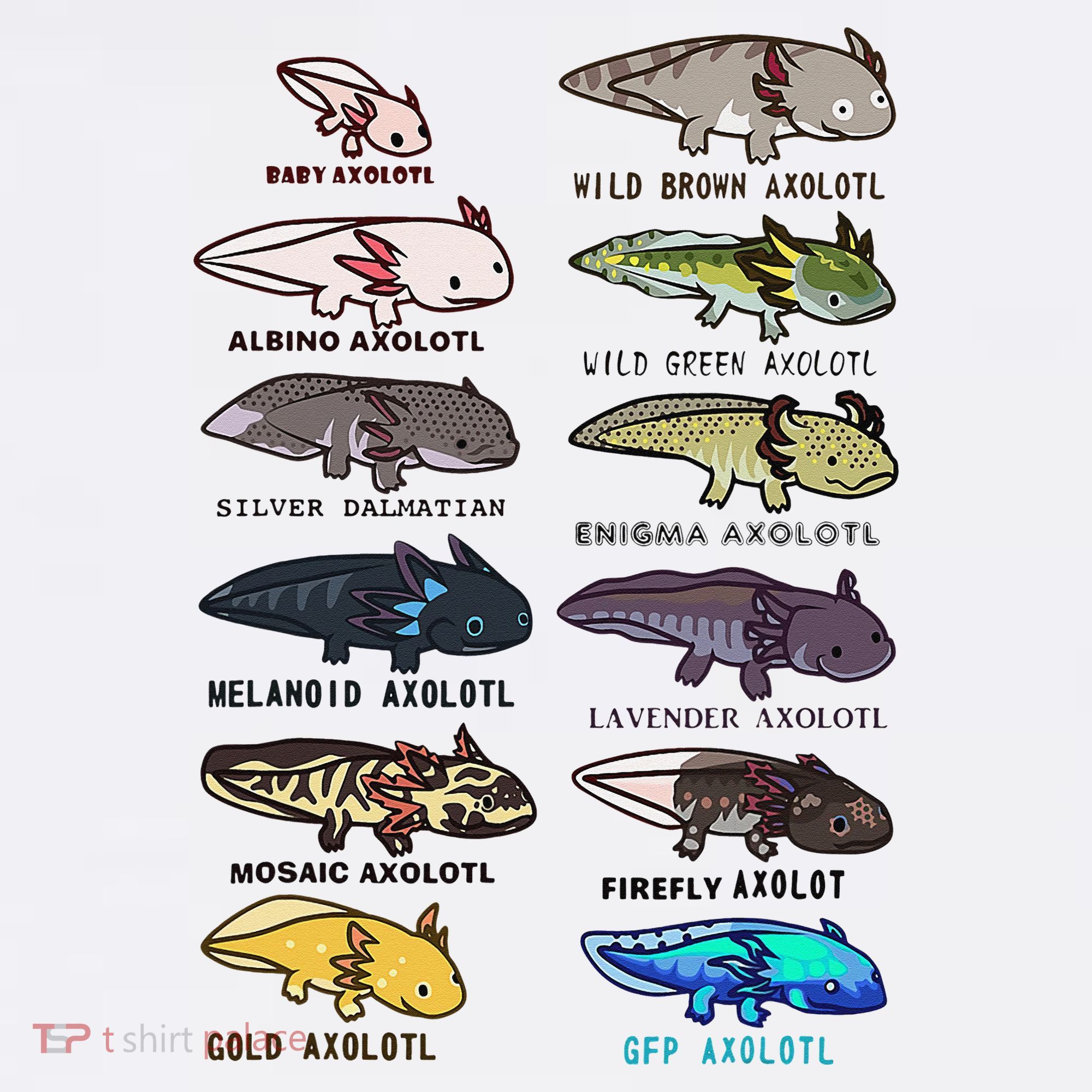 Funny Type Of Axolotls Funny Axolotl Lovers  T-Shirt