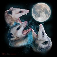 Funny Three Opossom Moon Mousepad thumb 1