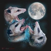 Funny Three Opossom Moon Toddler Hoodie thumb 2