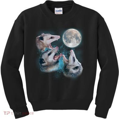 Funny Three Opossom Moon Kids Sweatshirt