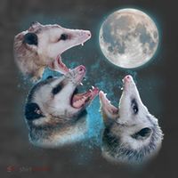 Funny Three Opossom Moon T-Shirt thumb 5
