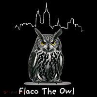 Flaco The Owl Sweatshirt thumb 3