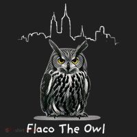 Flaco The Owl Hat thumb 2