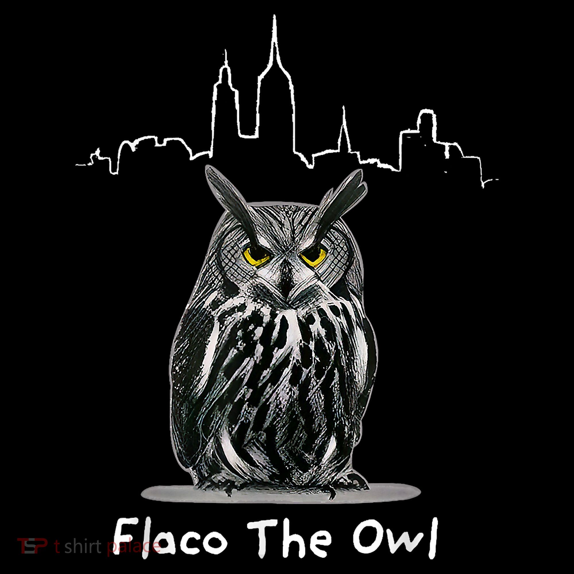Flaco The Owl Kids Hoodie