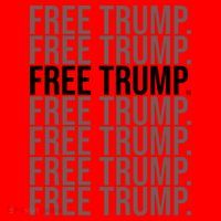 Free Trump Pro Republican Political Santa Hat thumb 1
