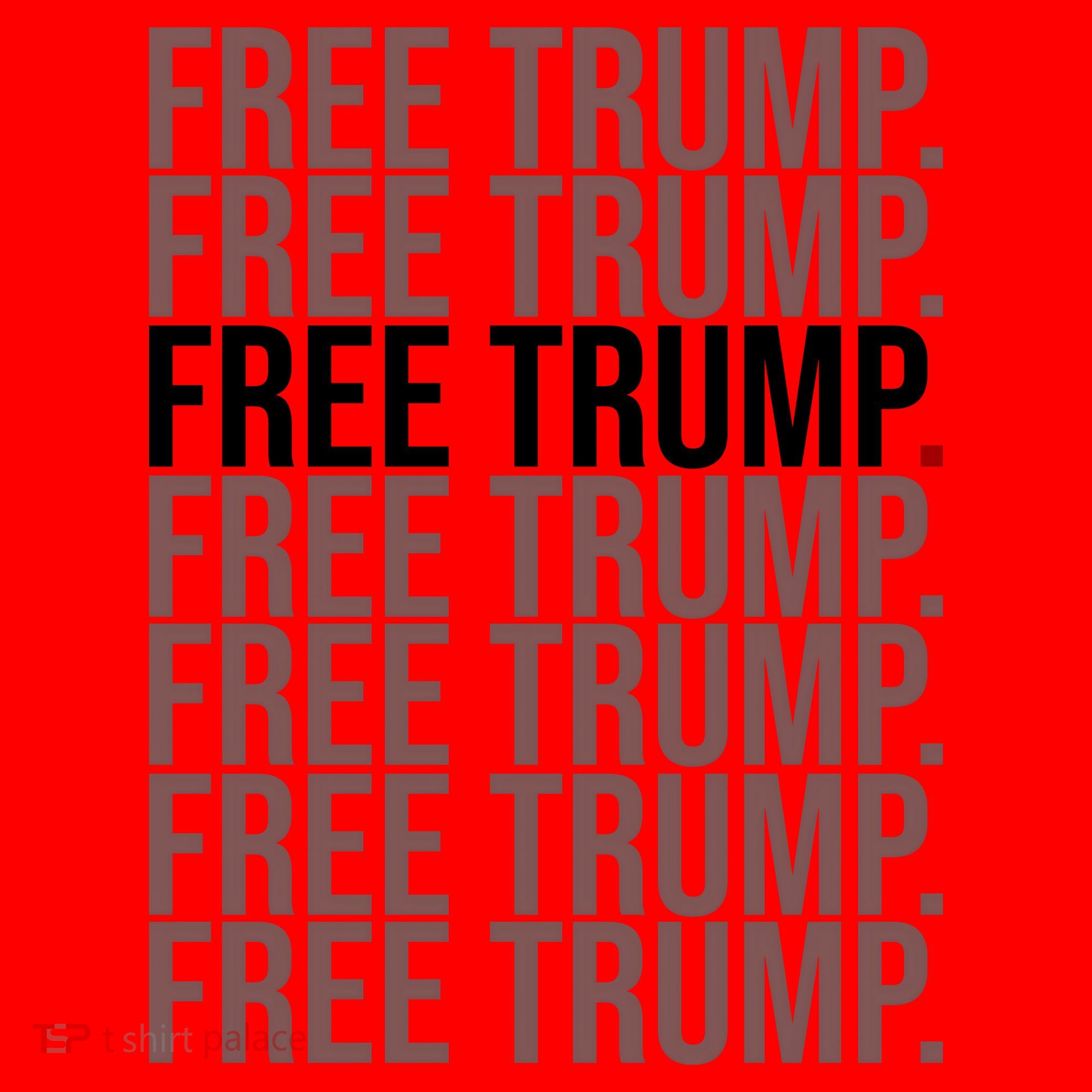 Free Trump Pro Republican Political Santa Hat