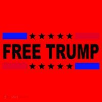 Free Trump Pro Donald Trump USA Election Santa Hat thumb 1
