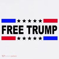 Free Trump Pro Donald Trump USA Election Sweatshirt thumb 3