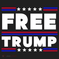 Free Trump Pro Donald Trump Election Women's Sweatshirt thumb 2