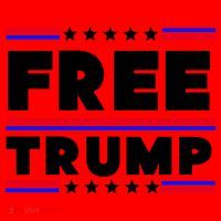 Free Trump Pro Donald Trump Election Santa Hat thumb 1