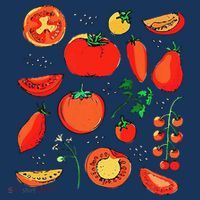 Funny Tomato Pun Hand Draw Tomatoes Watercolor Summer Foodie T-Shirt thumb 7